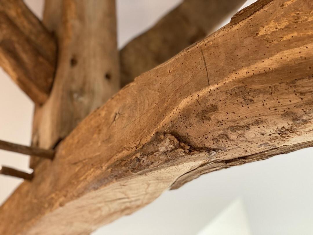 Le Domaine D'Angerville - Chambres D'Hotes Pokoj fotografie